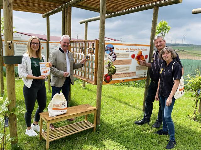 Foto: LT-Direktion NÖ / Schultes