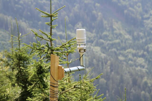 An fünf Mess-Stationen im Lammertal ist die Vorwarnstufe aktuell schon überschritten. | Foto: Land Salzburg/Melanie Hutter
