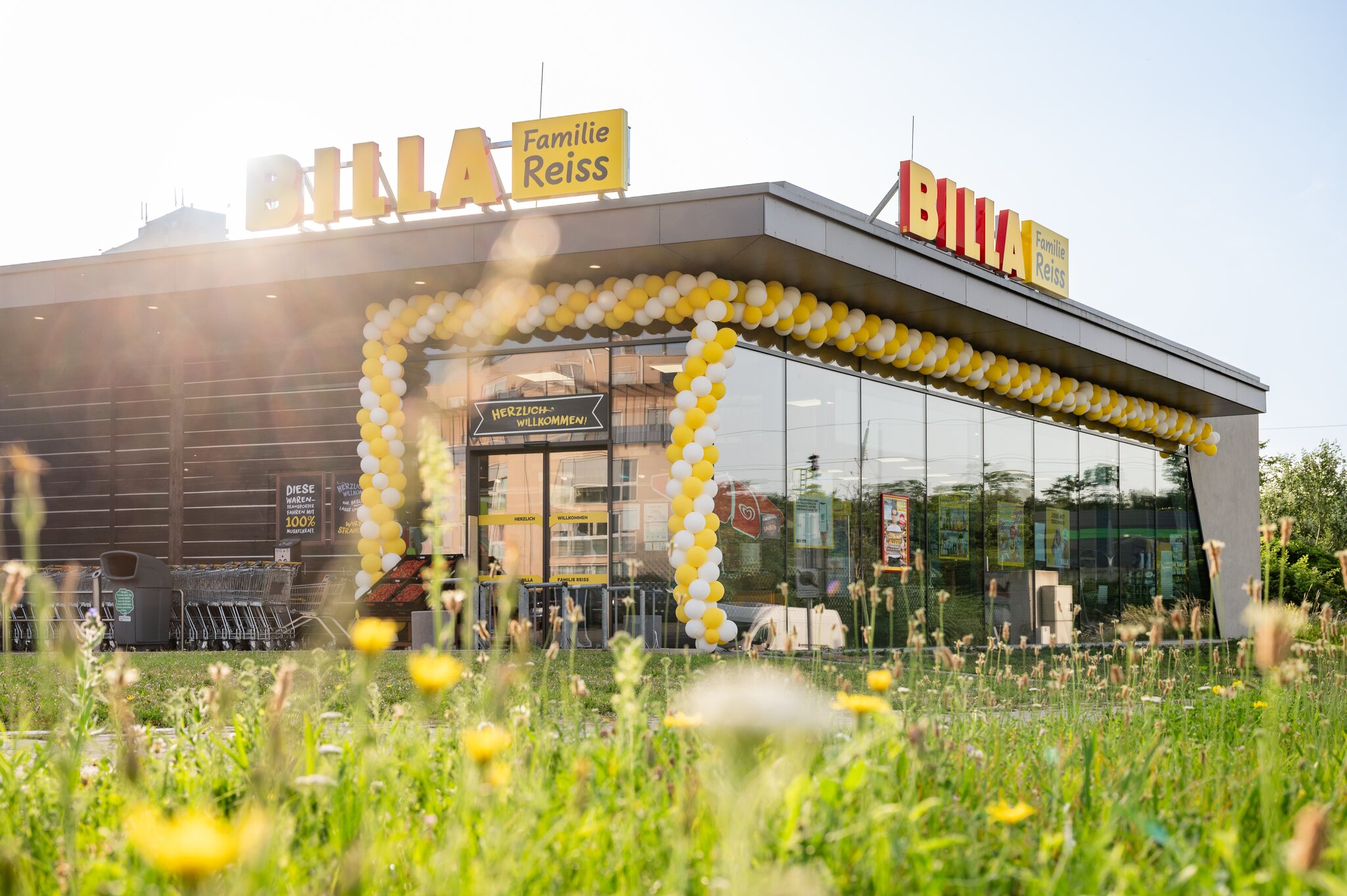 billa jobs wien vollzeit