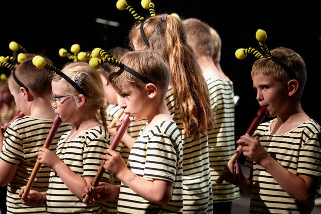 Die Schülerinnen und Schüler der VS Niederöblarn probten über mehrere Monate. | Foto: VS Niederöblarn