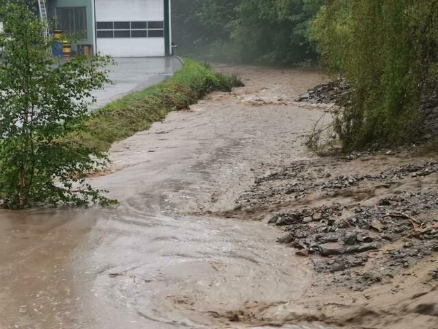 Foto: zVg