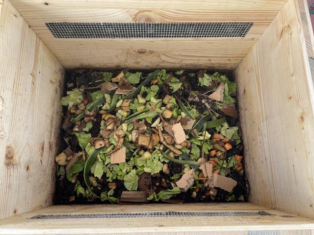 Auf den ersten Blick kann man keine Würmer sehen. | Foto: BRS/Moser