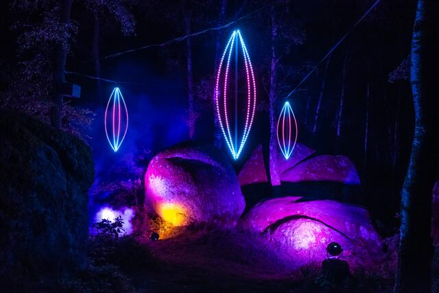 Blockheide Leuchtet 2018 | Foto: Andreas Biedermann