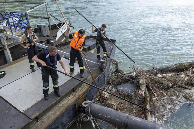 Am Samstag wurde nach dem 33-Jährigen intensiv in der Donau gesucht. | Foto: Manfred Wimmer
