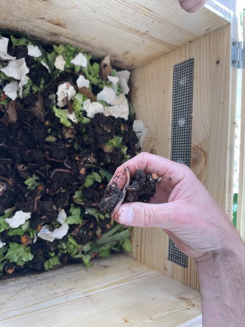 Vater Dominik testet die Feuchtigkeit in der Kiste. | Foto: BRS/Moser