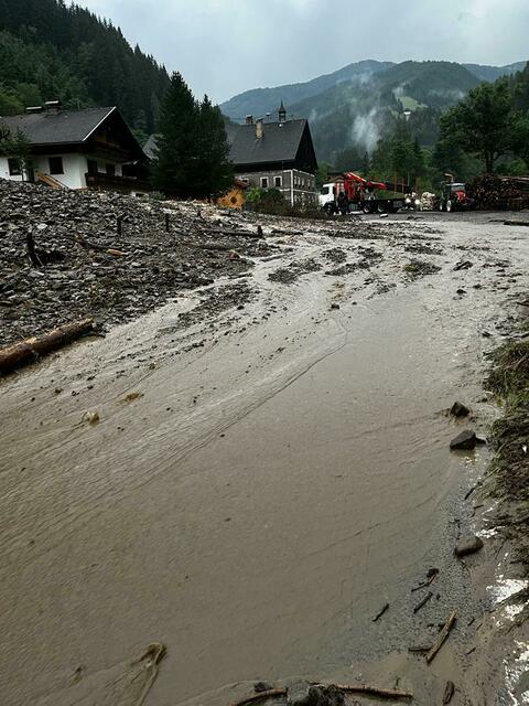 Foto: zVg