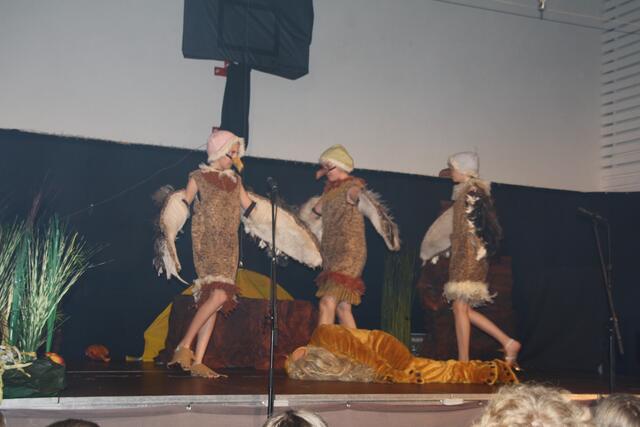 Foto: Petra Pollak