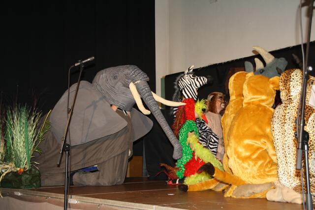 Foto: Petra Pollak