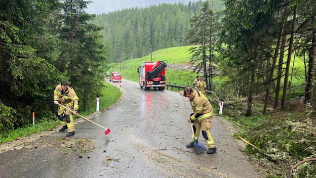 Unwetterbedingt musste die Freiwillige Feuerwehr Tamsweg am 21. Juni 2023 ausrücken. Grund der Alarmierung: Ein umgestürzter Baum auf der Prebersee-Landesstraße. | Foto: Freiwillige Feuerwehr Tamsweg