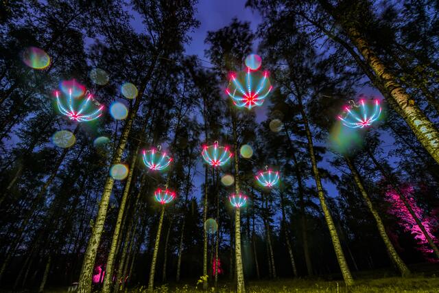 Blockheide Leuchtet 2019 | Foto: Joanna Pianka