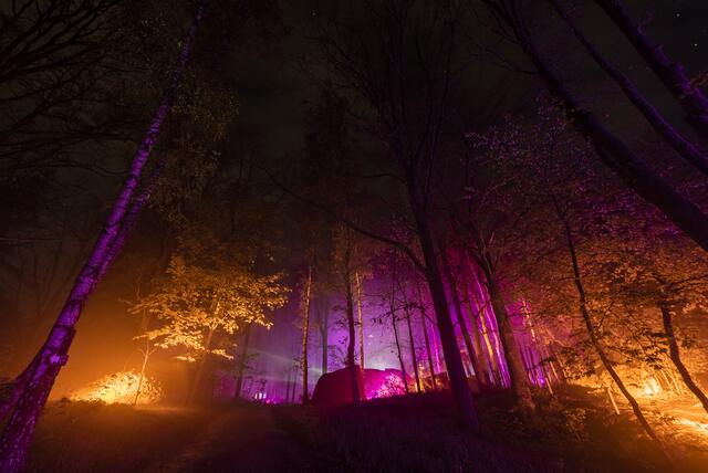 Blockheide Leuchtet 2019 | Foto: Andreas Biedermann