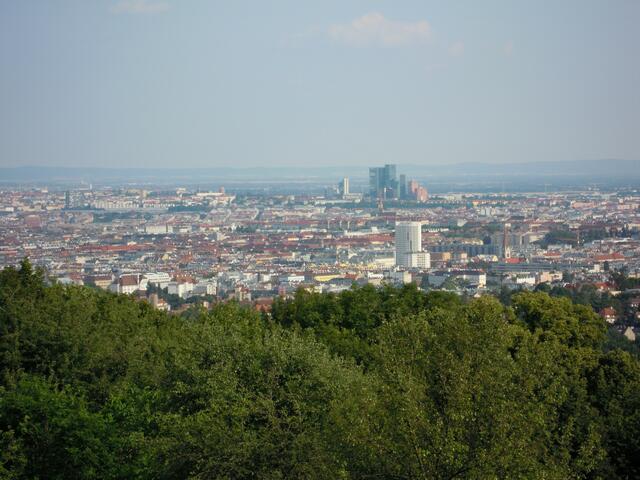 Der Unfallort war nahe des Schafbergs (Symbolbild).  | Foto: Herbert Ziss