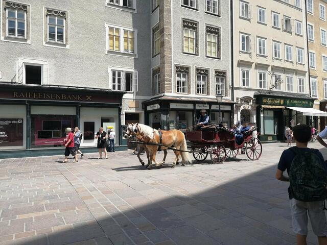 Trotz brütender Hitze mussten Pferde am Dienstag und Mittwoch voll beladene Kutschen durch die Salzburger Altstadt ziehen. | Foto: VGT.at