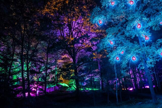 Blockheide Leuchtet 2018 | Foto: Andreas Biedermann