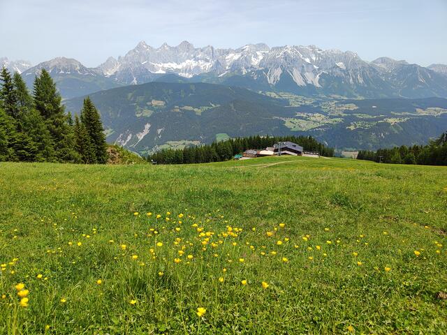 Die herrliche Dachsteingruppe visavis... | Foto: I.Wozonig
