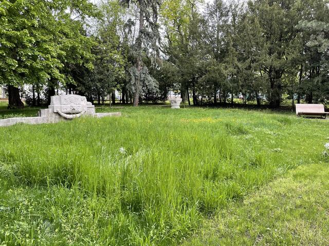Im Stadtpark Atzgersdorf, wo einst der Garten der Pollak-Villa lag, soll ein Mahnmal errichtet werden.  | Foto: Lisa Kammann