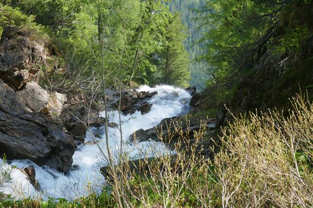 Der Zufluss zum Wasserfall von oben gesehen.  | Foto: Thomas Neuhold
