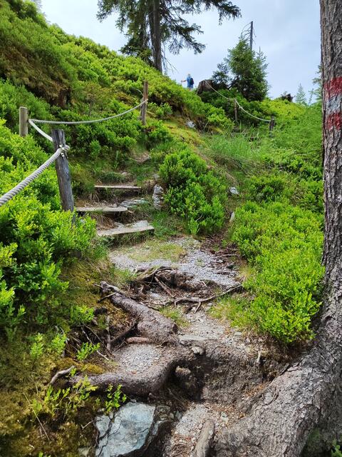 Jetzt geht's einen Waldsteig hinauf...
 | Foto: I.Wozonig