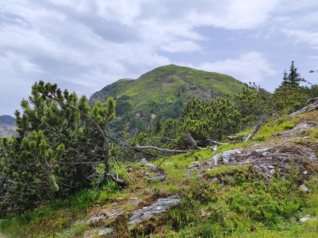 Das Gipfelkreuz auf der Gasslhöhe, dahinter das Rippeteck..
 | Foto: I.Wozonig