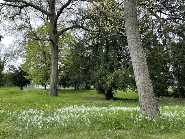 Im Stadtpark Atzgersdorf. | Foto: Lisa Kammann