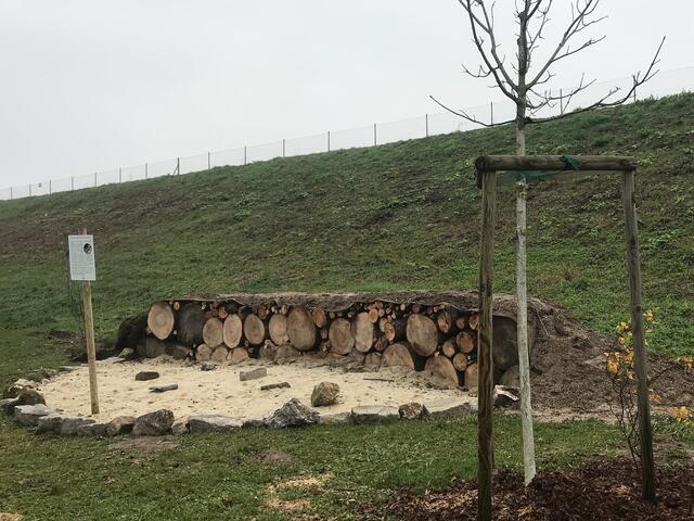 Foto: Team Stadtökologisches Umsetzungsprogramm