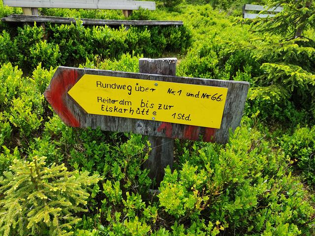 So haben wir es vor... | Foto: I.Wozonig