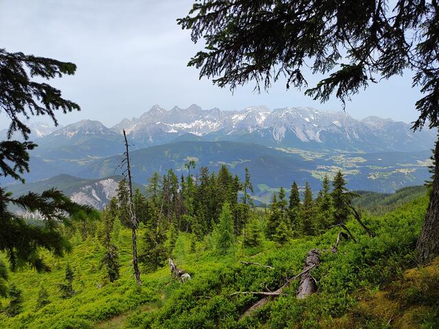 ...aber immer wieder schweift der Blick ,,hinüber"... | Foto: I.Wozonig