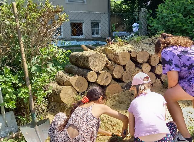 Foto: Team Stadtökologisches Umsetzungsprogramm
