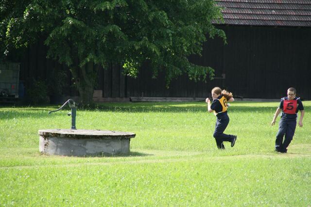 Foto: Petra Pollak