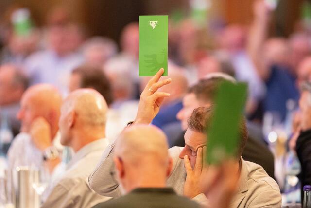 Grün Karte bedeutet Zustimmung. | Foto: Kristen Images