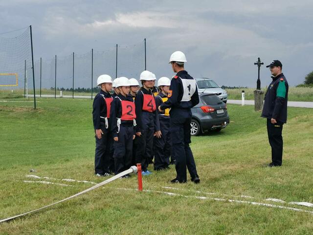Foto: Petra Pollak