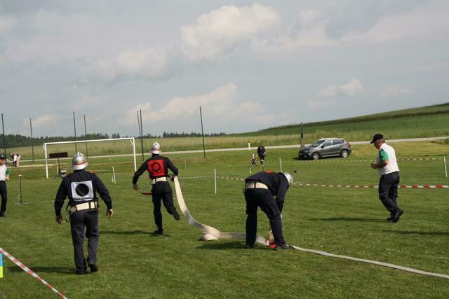Foto: Petra Pollak