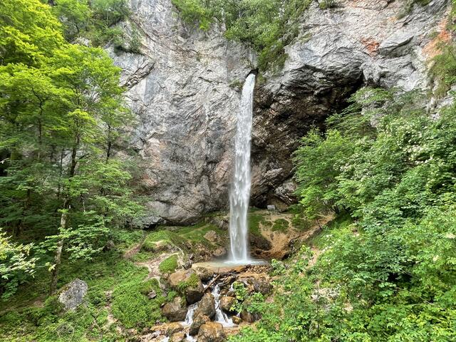 Foto: RegionalMedien