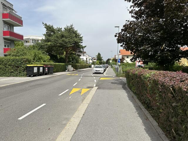 Nicht nur ein neuer Radweg in der Gerhart-Hauptmann-Straße erhitzt die politischen Gemüter. | Foto: TVP
