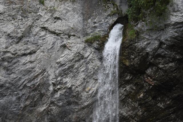 Foto: RegionalMedien