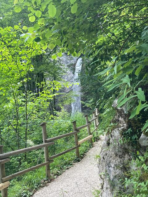 Foto: RegionalMedien