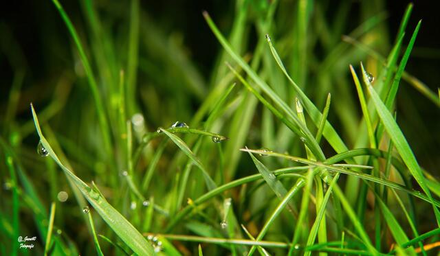 .....da taucht man doch gerne mal ein .....