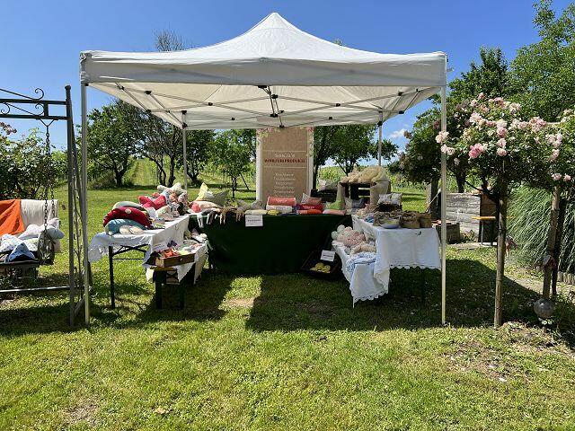 Prachtwetter beim Kellerfest mit vielen Attraktionen | Foto: Wutte