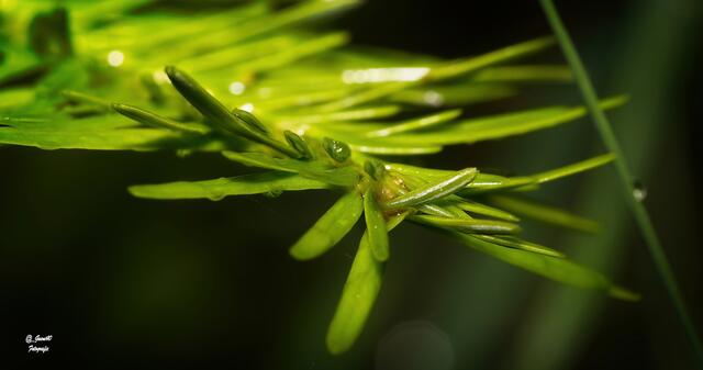 ......oder man ändert etwas die Persepktive .....