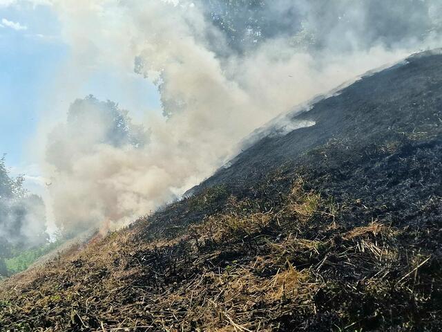 Mitarbeiter des Magistrats leisteten mit Feuerlöschern Hilfe.  | Foto: Stadtfeuerwehr Eisenstadt