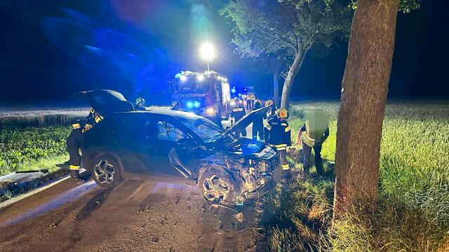 Ein Auto krachte gegen einen Baum | Foto: Doku NÖ