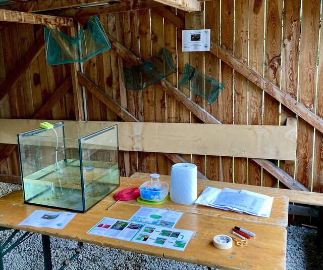 Foto: Fischereiverein Neustift
