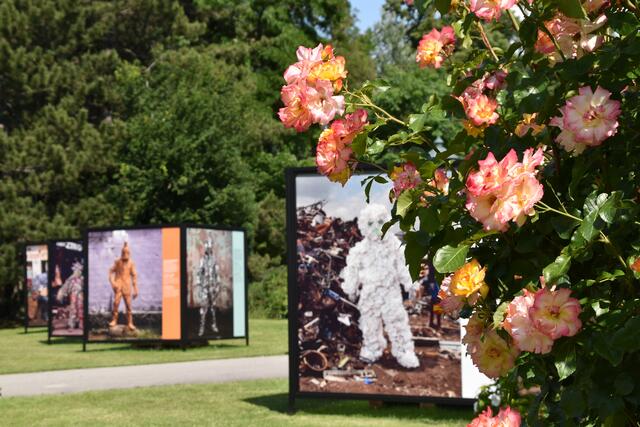 Fotos und Rosen schmücken den Doblhoffpark. | Foto: Preineder