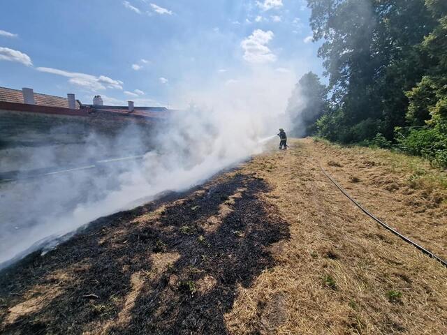 Direkt im Schlosspark, unmittelbar bei der Franziskanerkirche kam es Montagnachmittag zu einem Flurbrand.  | Foto: Stadtfeuerwehr Eisenstadt