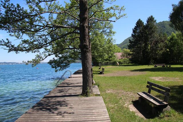 Auch ist Weyregg wurden Proben genommen. | Foto: Steiner-Watzinger