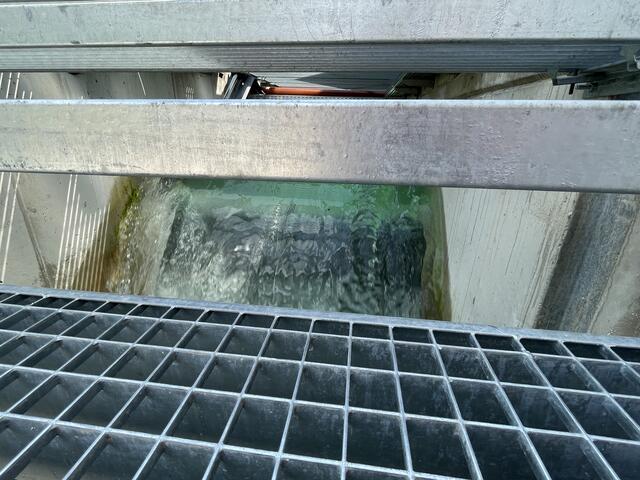 Blick auf das Wasser im Almkanal. | Foto: sm