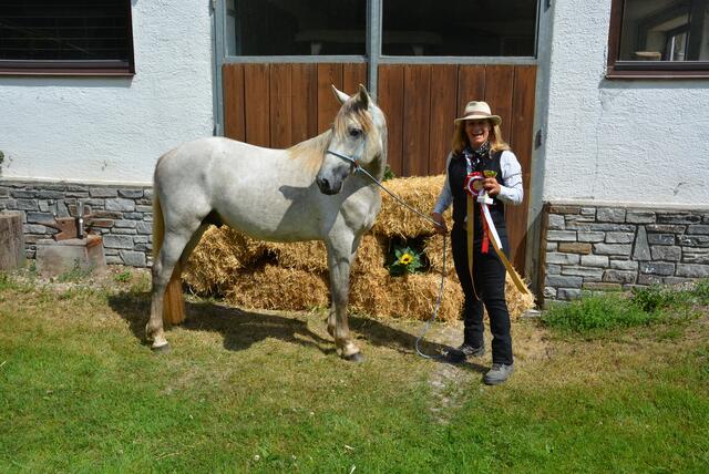 Der zweijährige französische Camargue-Hengst „Larios Del’Indalo“ von Katrin Waltl aus Scheffau wurde zum Jugendchampion gekürt  | Foto: Georg Krepper