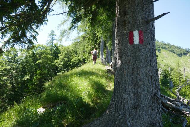 Anstieg über den Saurücken.  | Foto: Thomas Neuhold