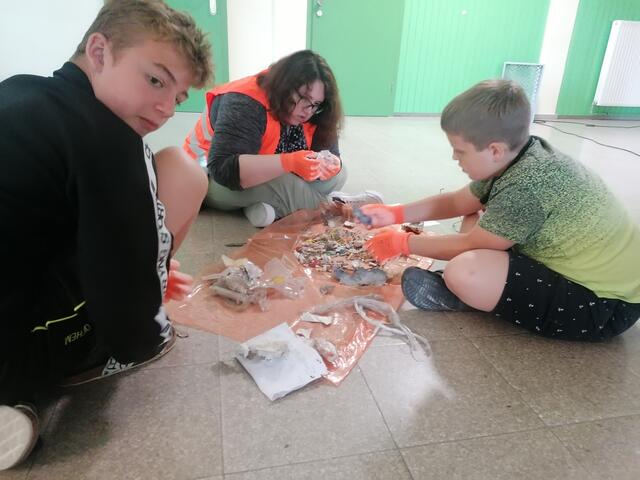 Foto: GV Gmünd