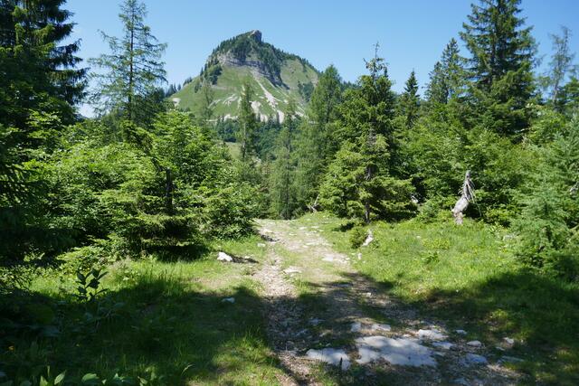 Das markante Hörndl des Holzeck.  | Foto: Thomas Neuhold